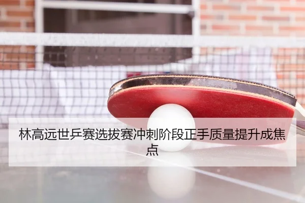 林高远世乒赛选拔赛冲刺阶段正手质量提升成焦点